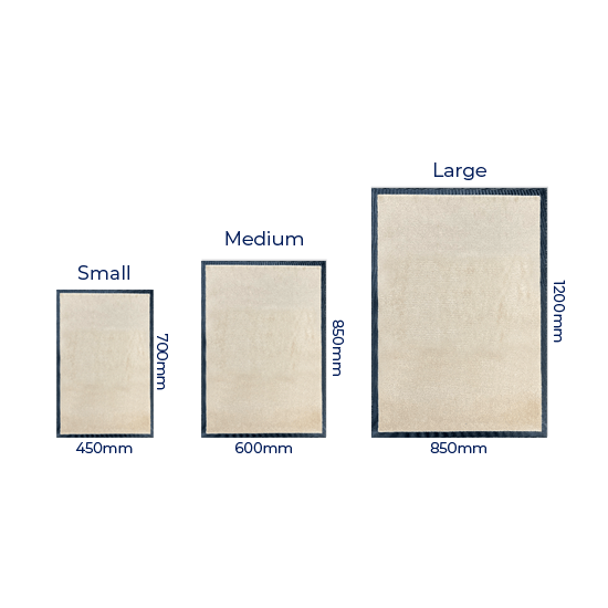 Aspire Indoor Non Slip Mats-small