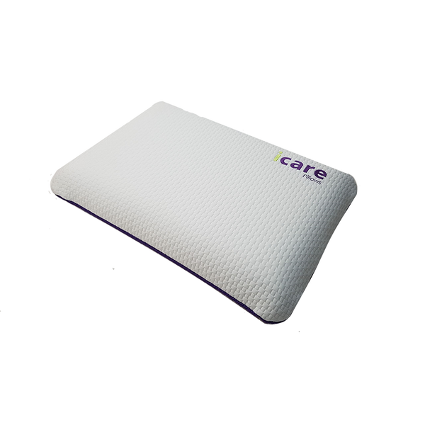 Icare ActiveX Classic Pillow